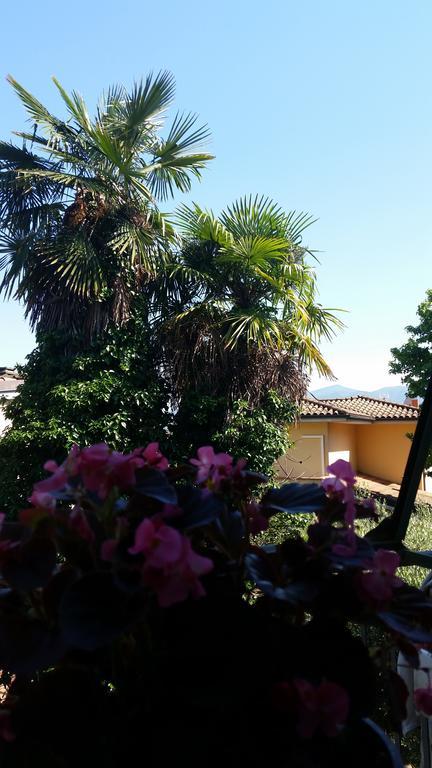 Hotel Grandpa Mau Lucca Esterno foto